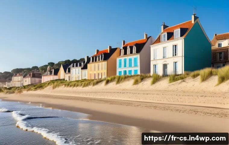 해수면 상승과 해안 생태계 기능 - **Coastal Village Adapting to Erosion:**
"A charming French coastal village, reminiscent of the ...