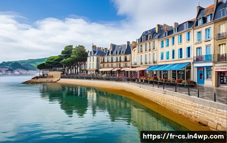 해수면 상승과 도시 안전성 평가 - A Historic French Coastal Town Adapting to Rising Tides**

A picturesque, historic French coastal to...